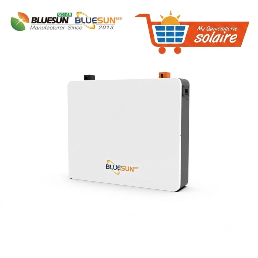 Batterie Lithium BSM 48V 200AH